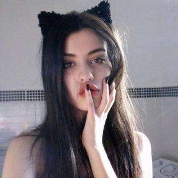 我的后宫计划手游